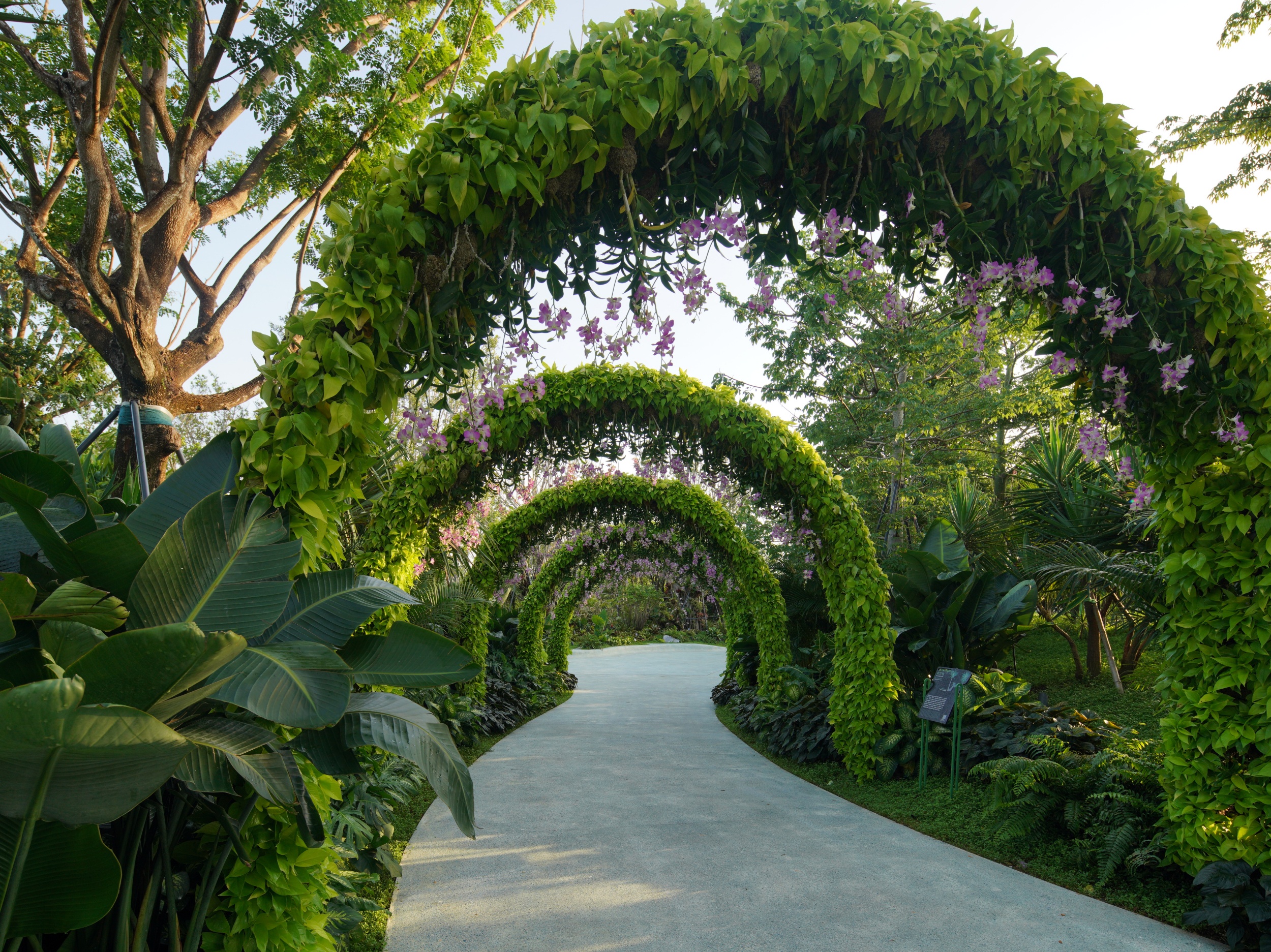 三亚海棠河生态公园（二期）·热带奇趣园丨中国三亚丨LOLA Landscape Architects B.V.-79