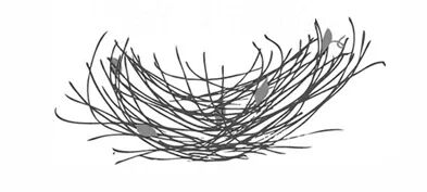 预告|寻同空间×锦江赋伊甸园-6