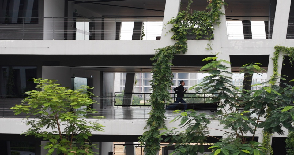 混凝土蕾丝 · 越南高科技园区的绿色办公楼-15