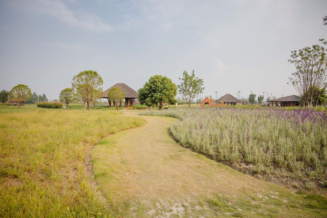 天府绿道·萌宠乐园｜良相设计-34