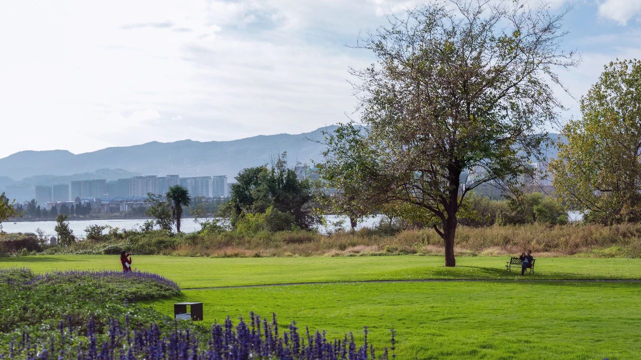  圆点设计丨昆明云海一号•湿地展示公园 景观设计 丨中国云南-39