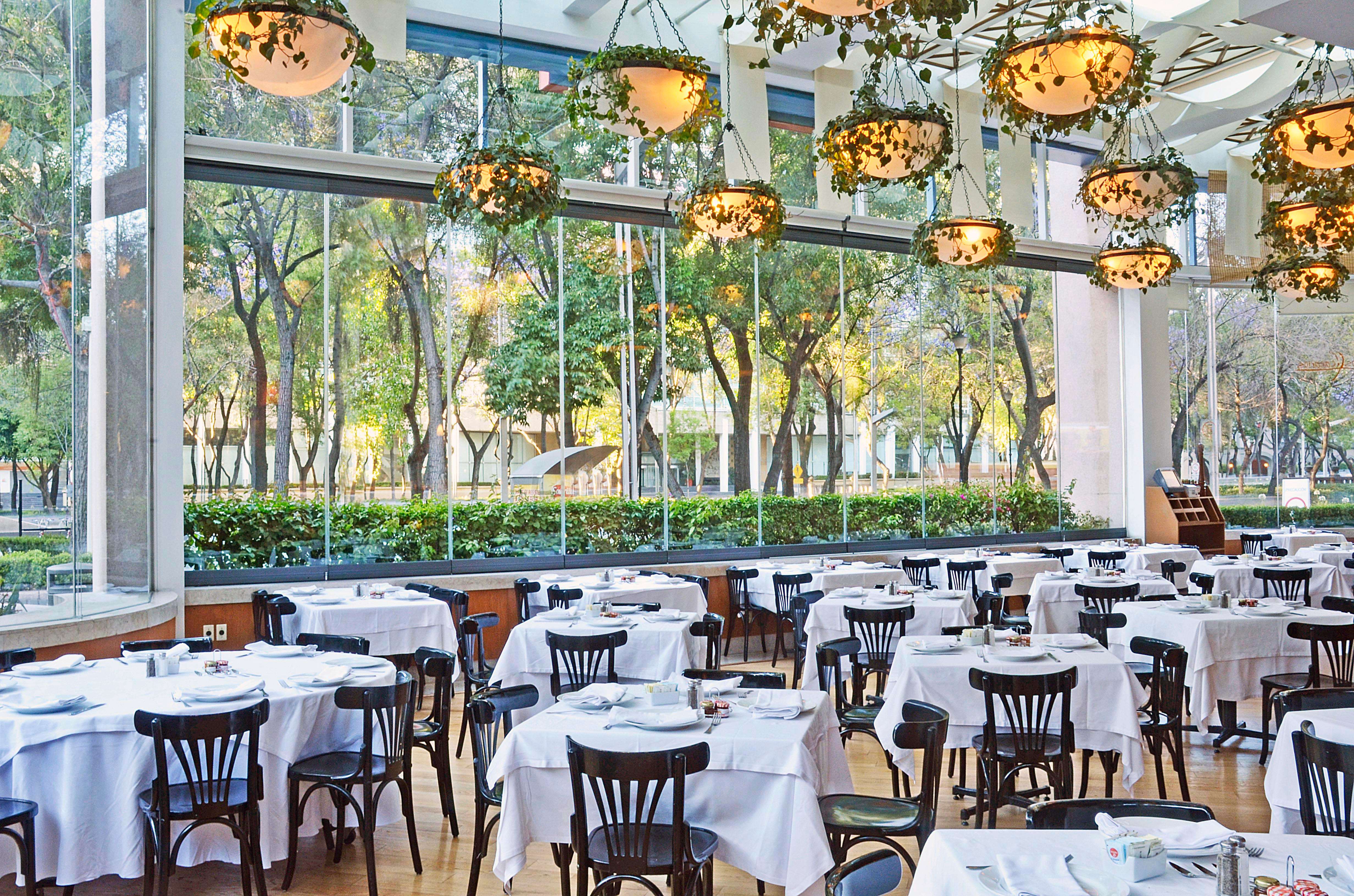 墨西哥城Hotel Marquis Reforma酒店-24