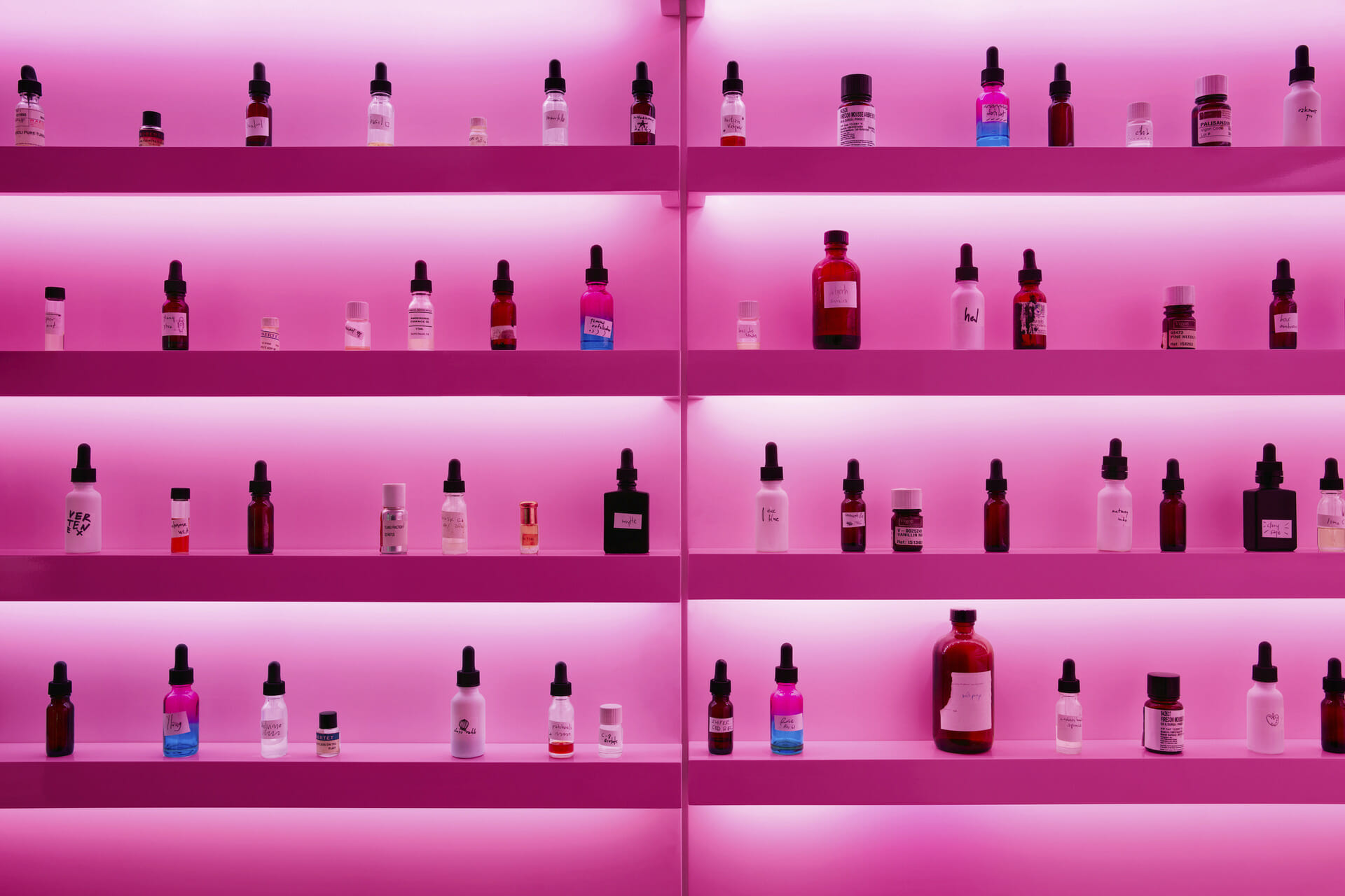 D.S. & Durga Williamsburg | Woods Bagot-1