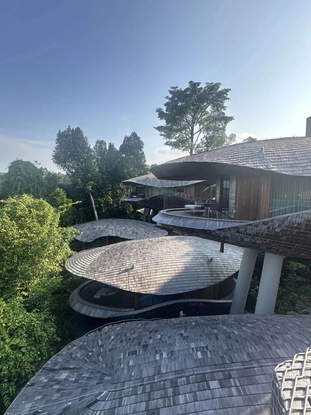 万态雨林悦榕庄丨遁入狮城繁华深处的秘境绿洲-18