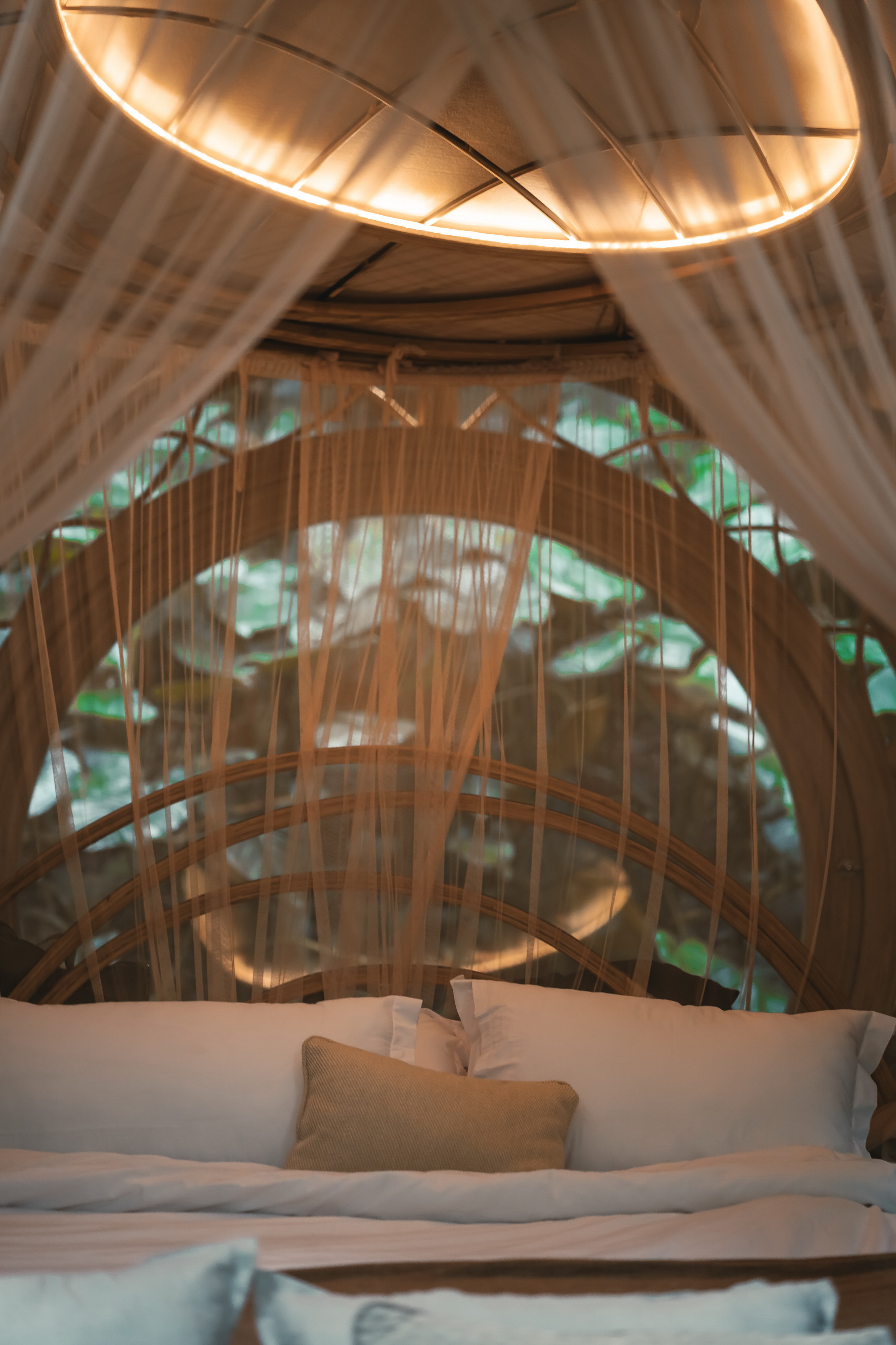 藏身之处茧蛹丨Studio WNA-9