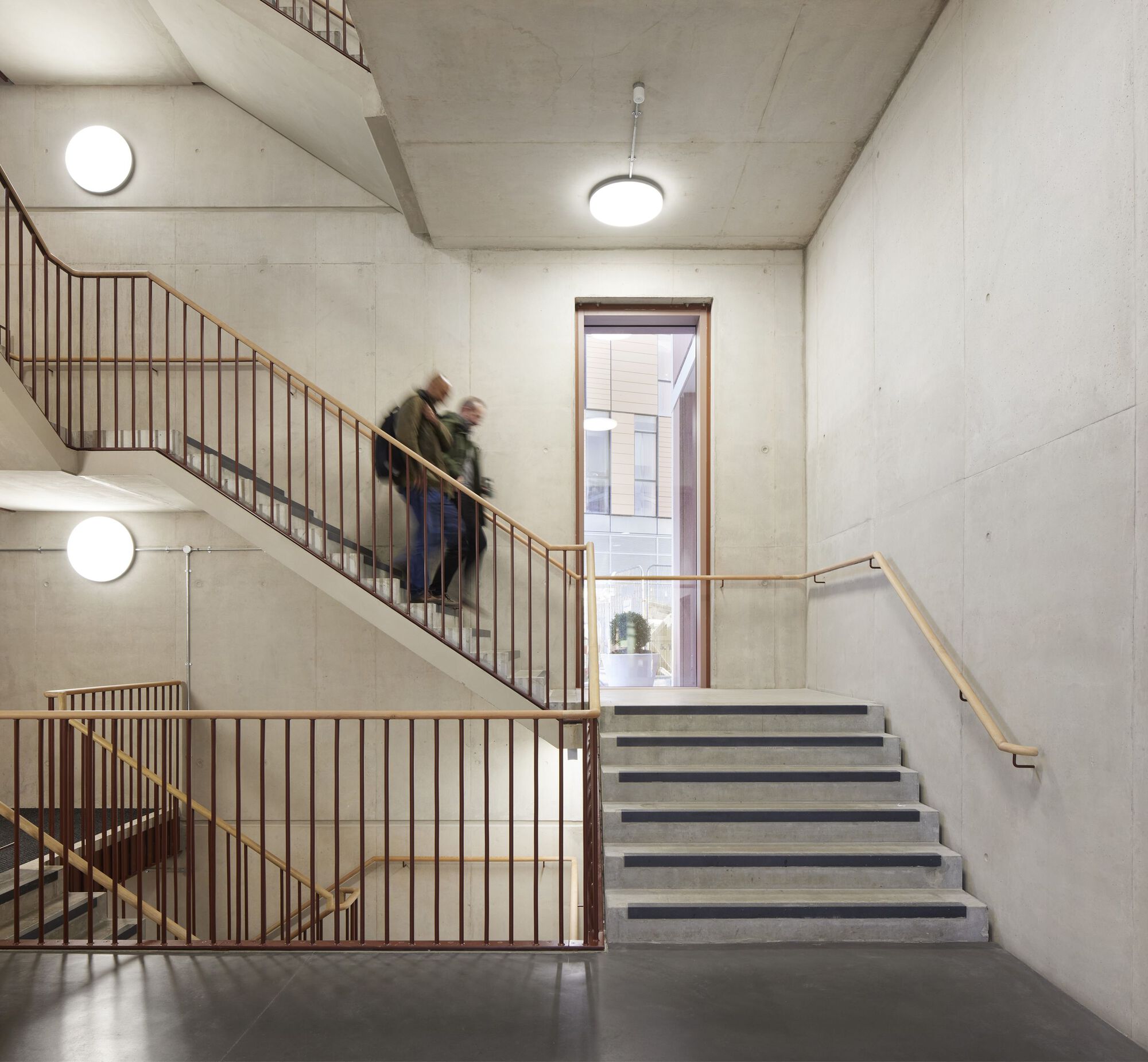 帝国理工学院公共卫生学院丨英国丨Allies and Morrison-15