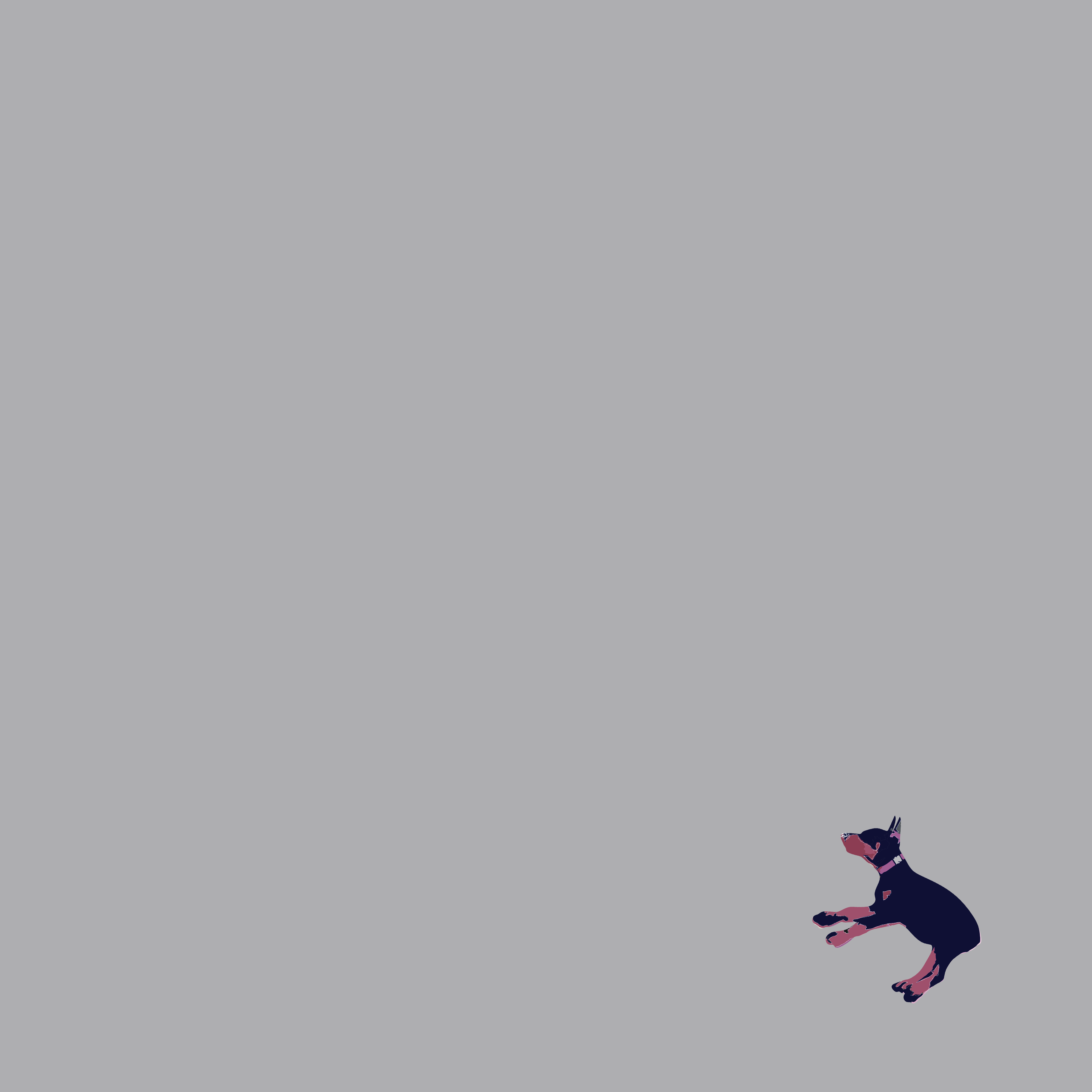 Doberman. Illustration. Minimalism-11