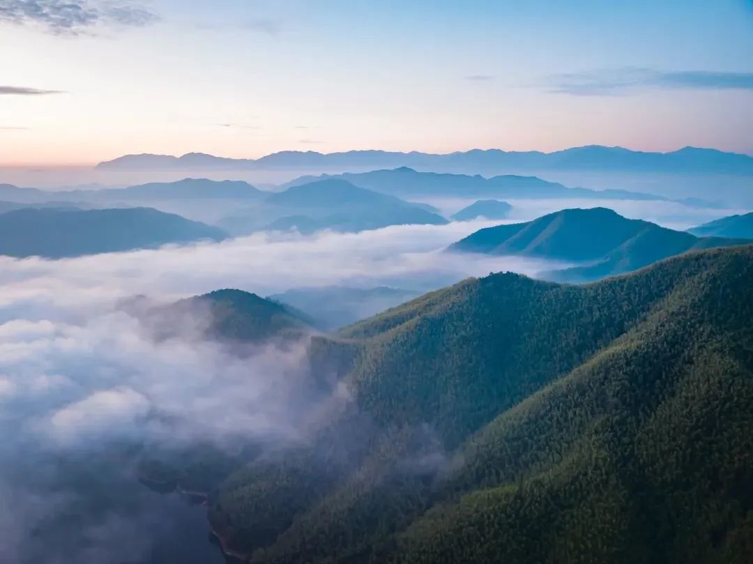 数一轮晨夕 折一朵明媚 | 安吉小杭坑营地-86