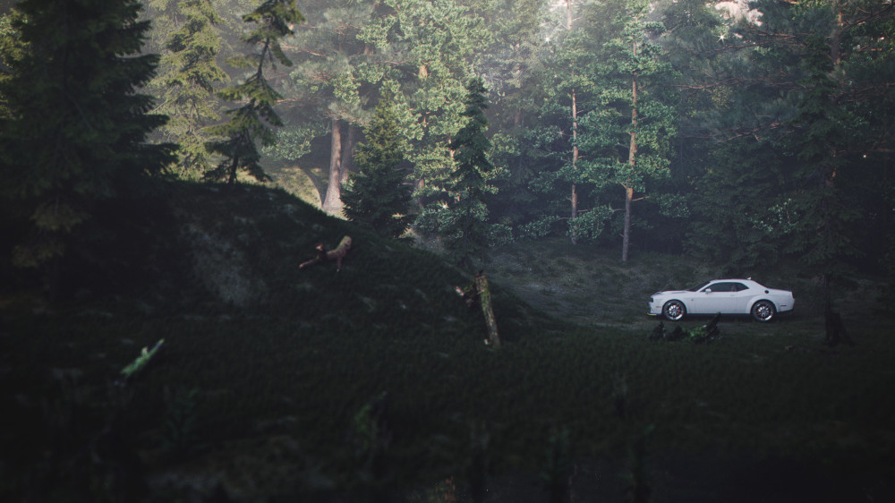 森林深处的素色设计空间-18