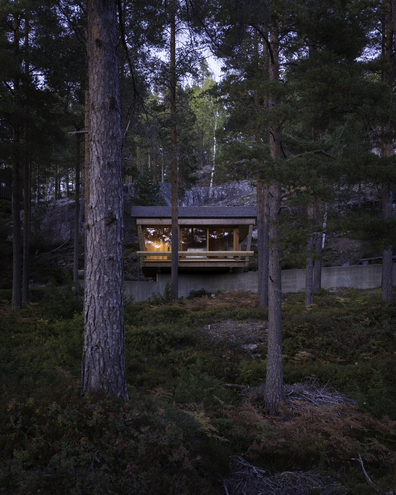 挪威杜鹃的巢室-16