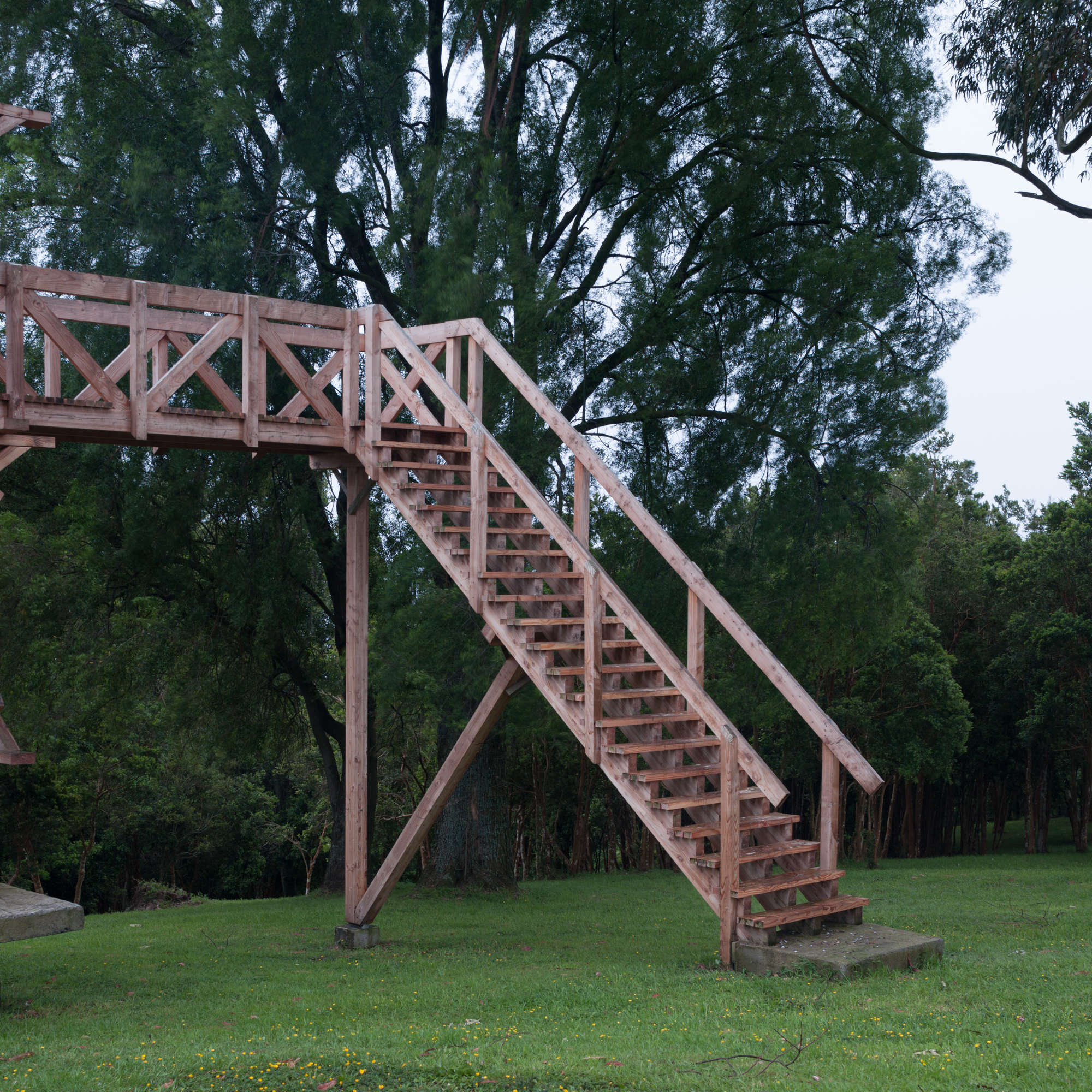 阿维亚里和稳定公园埃尔恩坎托丨智利丨DRAA-31