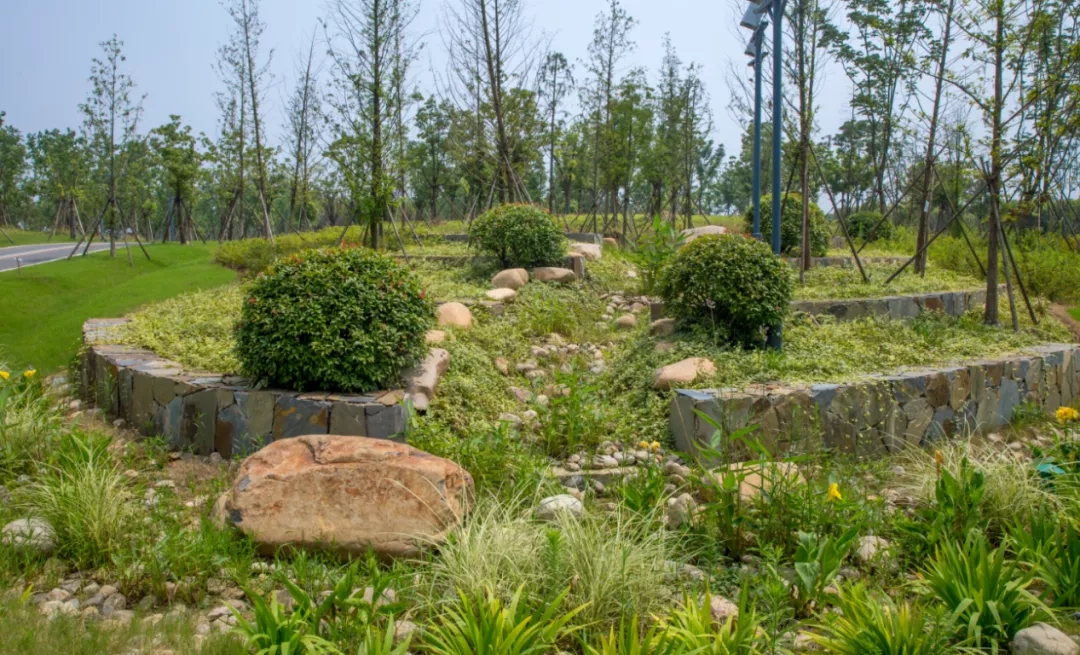 常州三江口公园-14