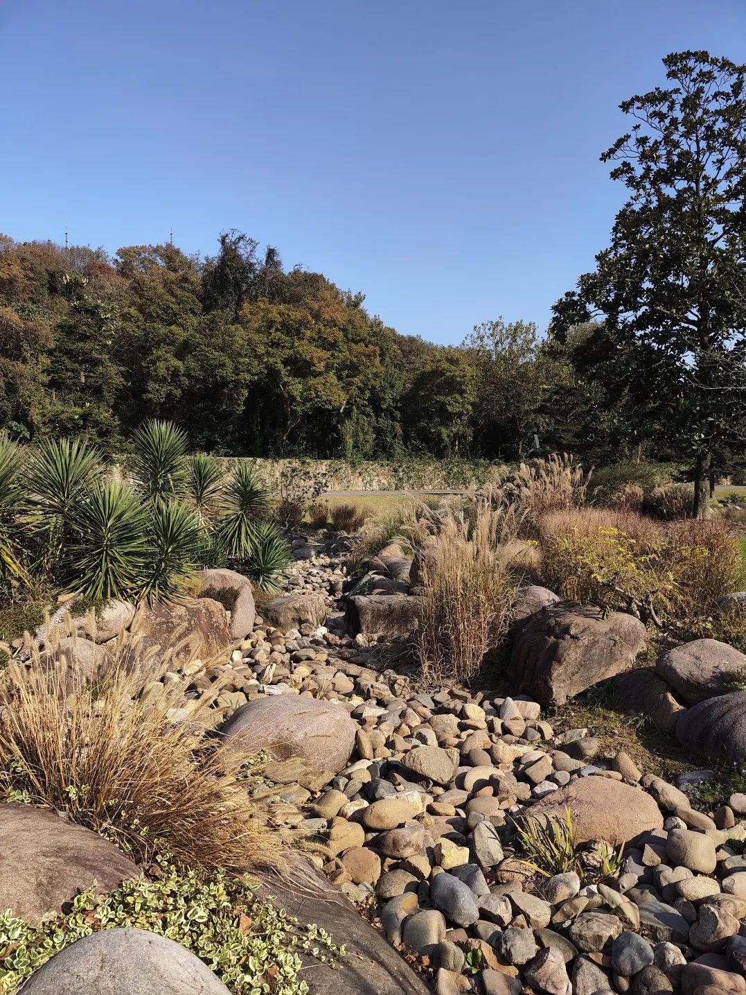 广富林遗址公园和辰山植物园考察丨中国上海丨亦境景观院-47