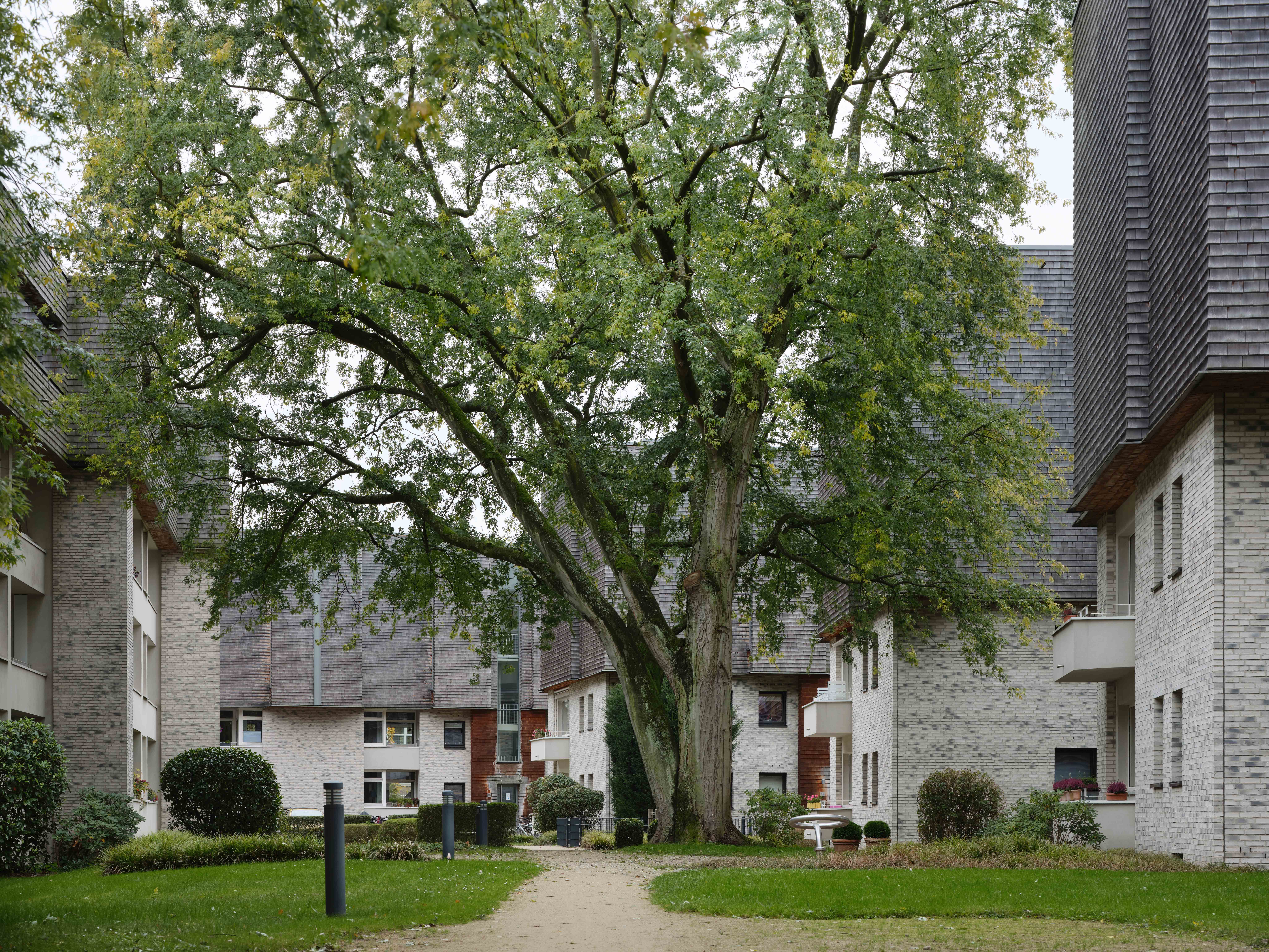 树屋贝贝拉勒丨blrm Architekt*innen-20