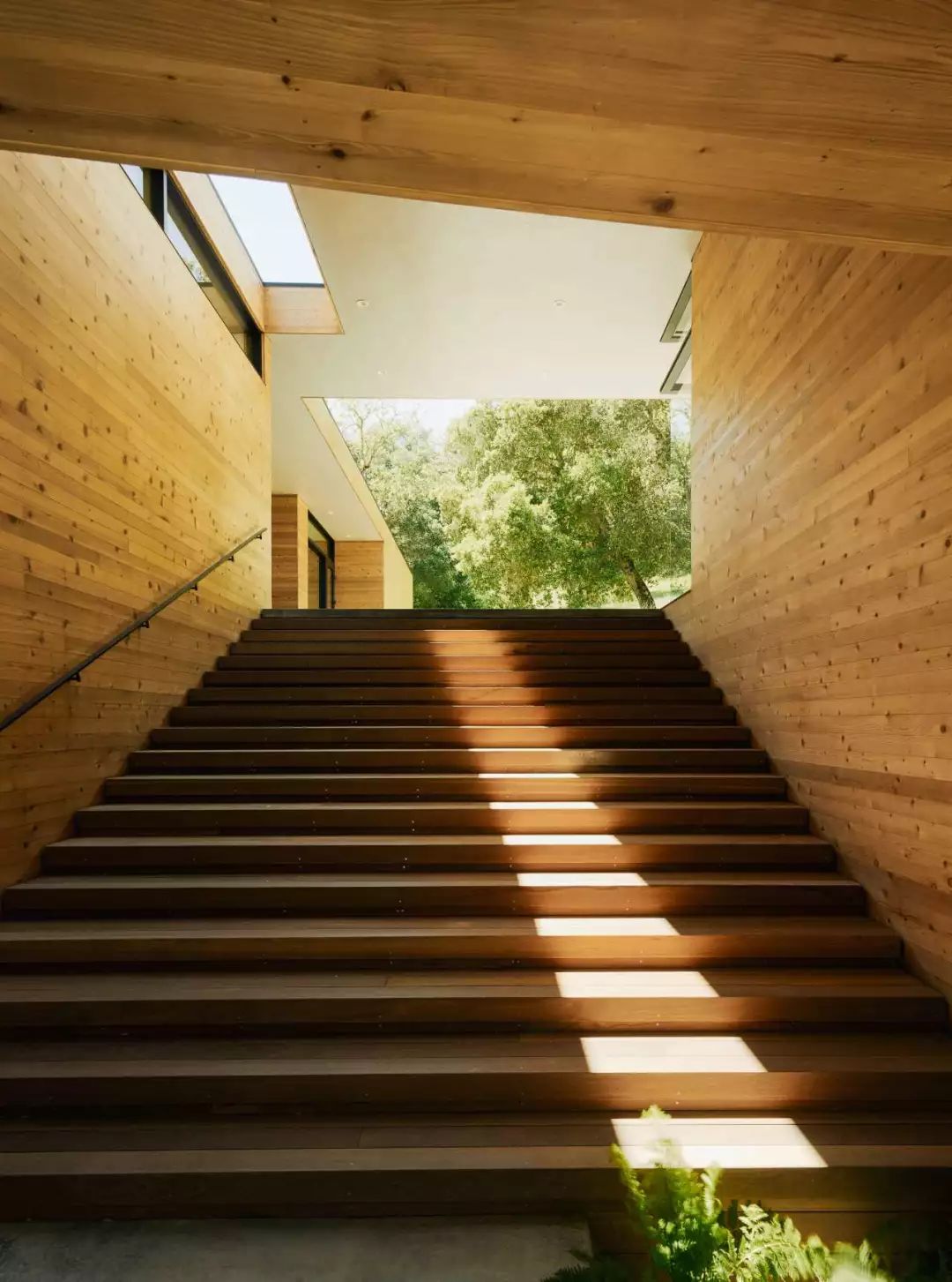 融合自然的当代美学 | 丹尼尔·皮乔塔设计案例解读-32