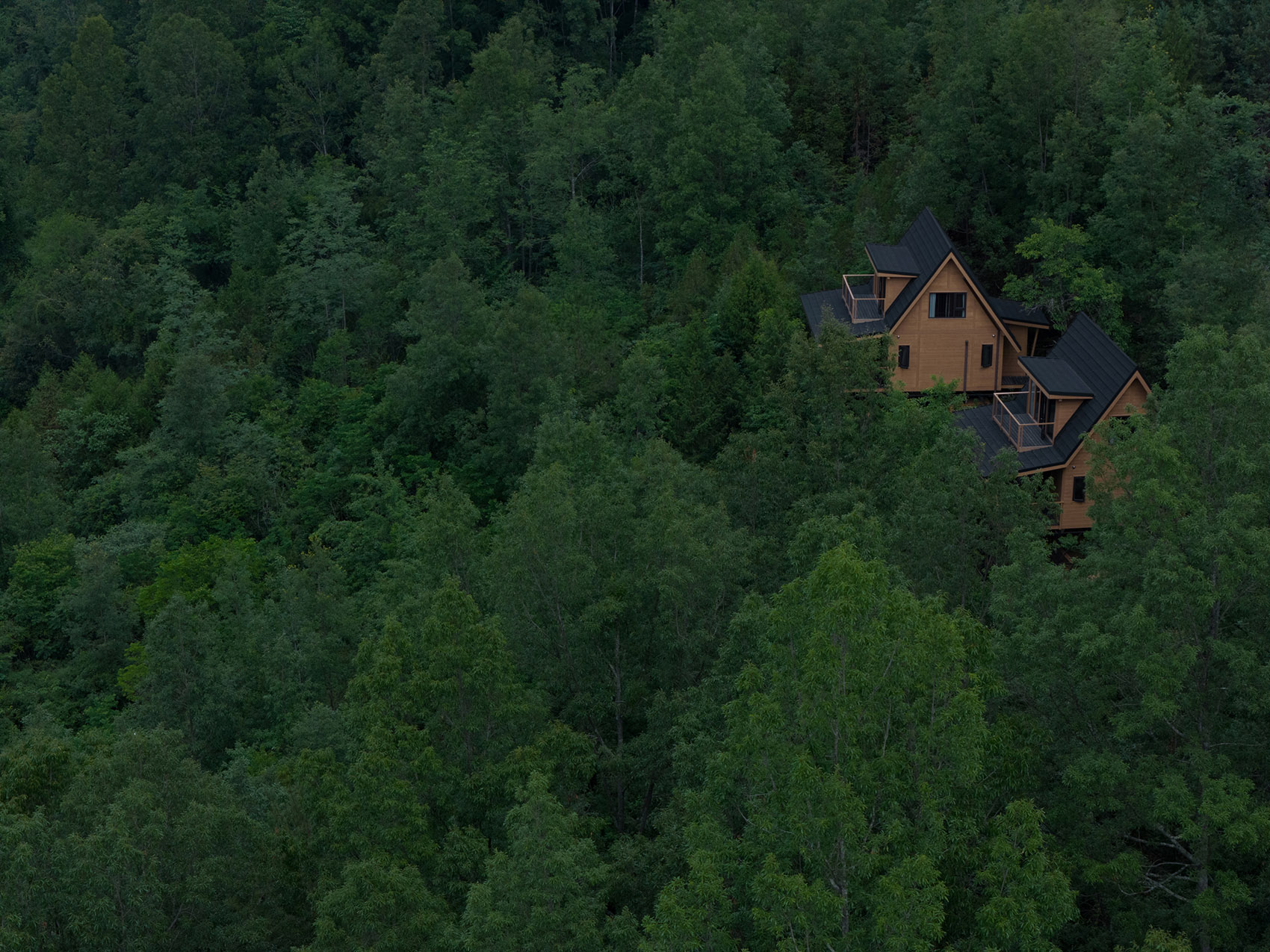 陕西汉中欢喜山森林生活公园丨中国汉中丨为至工作室-149