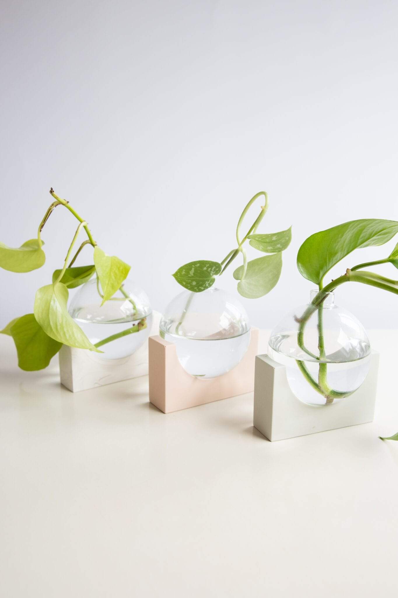 植物剪切新时尚 | 比利时 House Raccoon 设计的水晶 propagation station-14