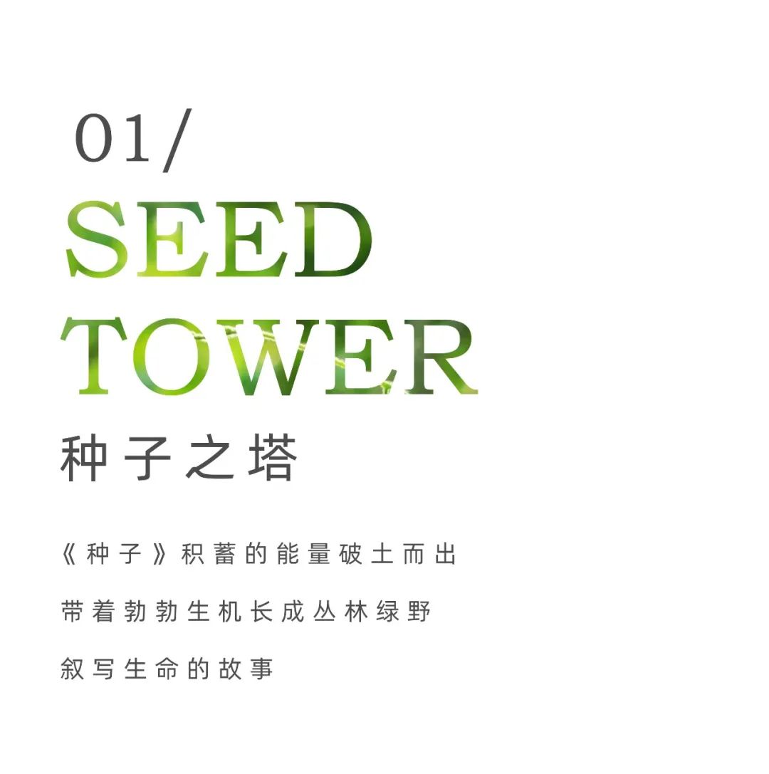 中建东孚春合境明丨中国上海丨赛拉维设计CLV.DESIGN-6