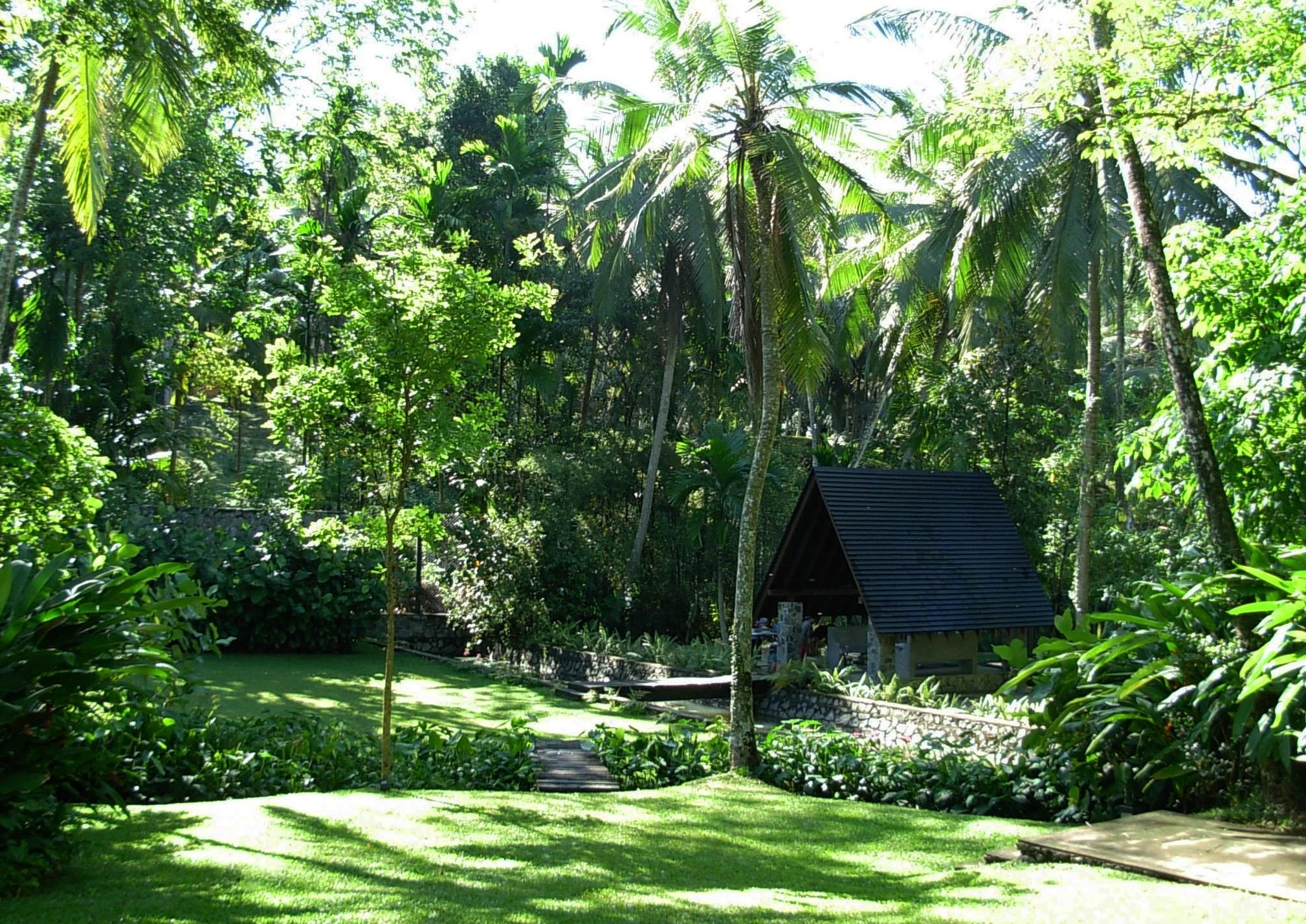 斯里兰卡“荆棘”庄园-24