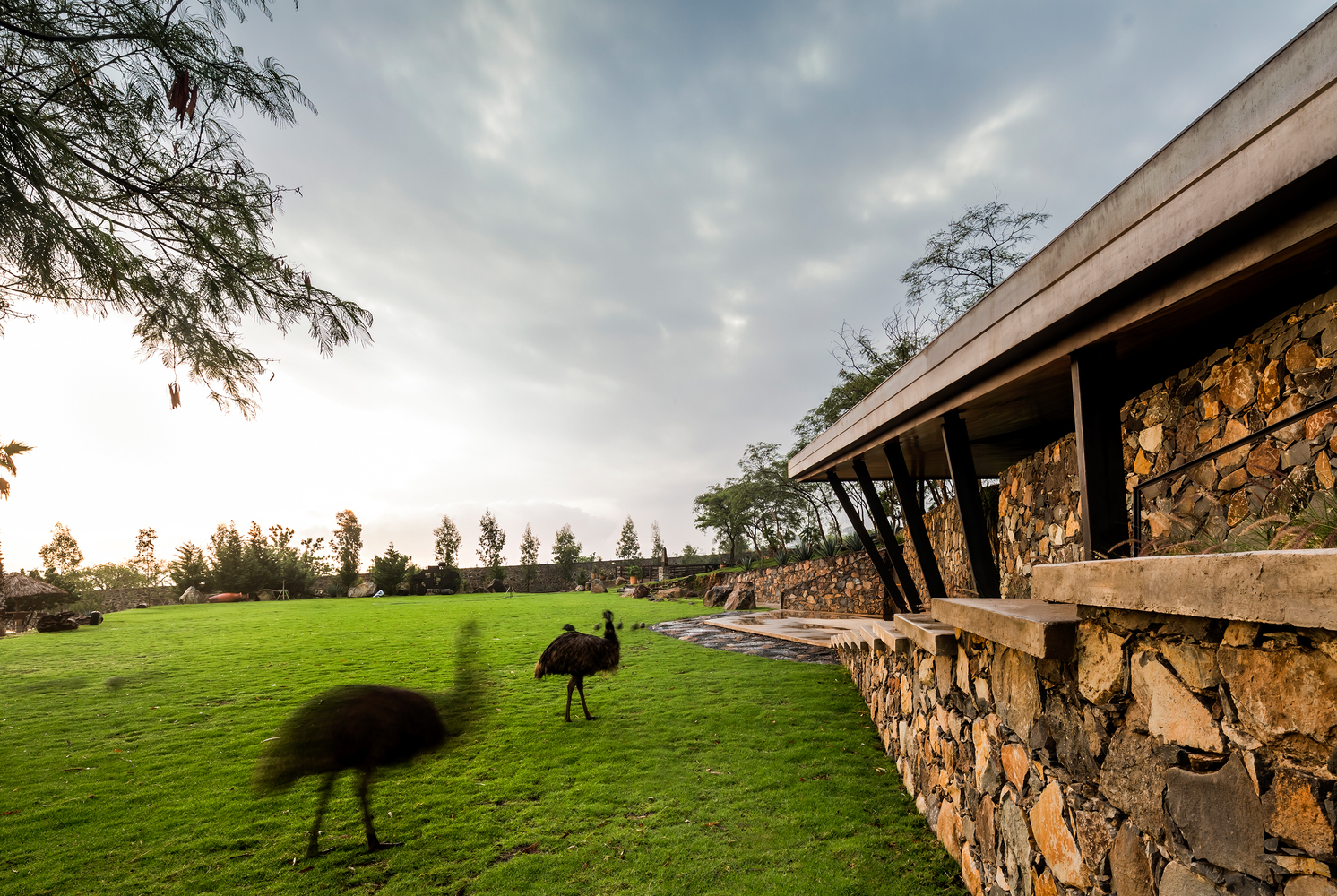 墨西哥自然风光中的婚礼胜地-25