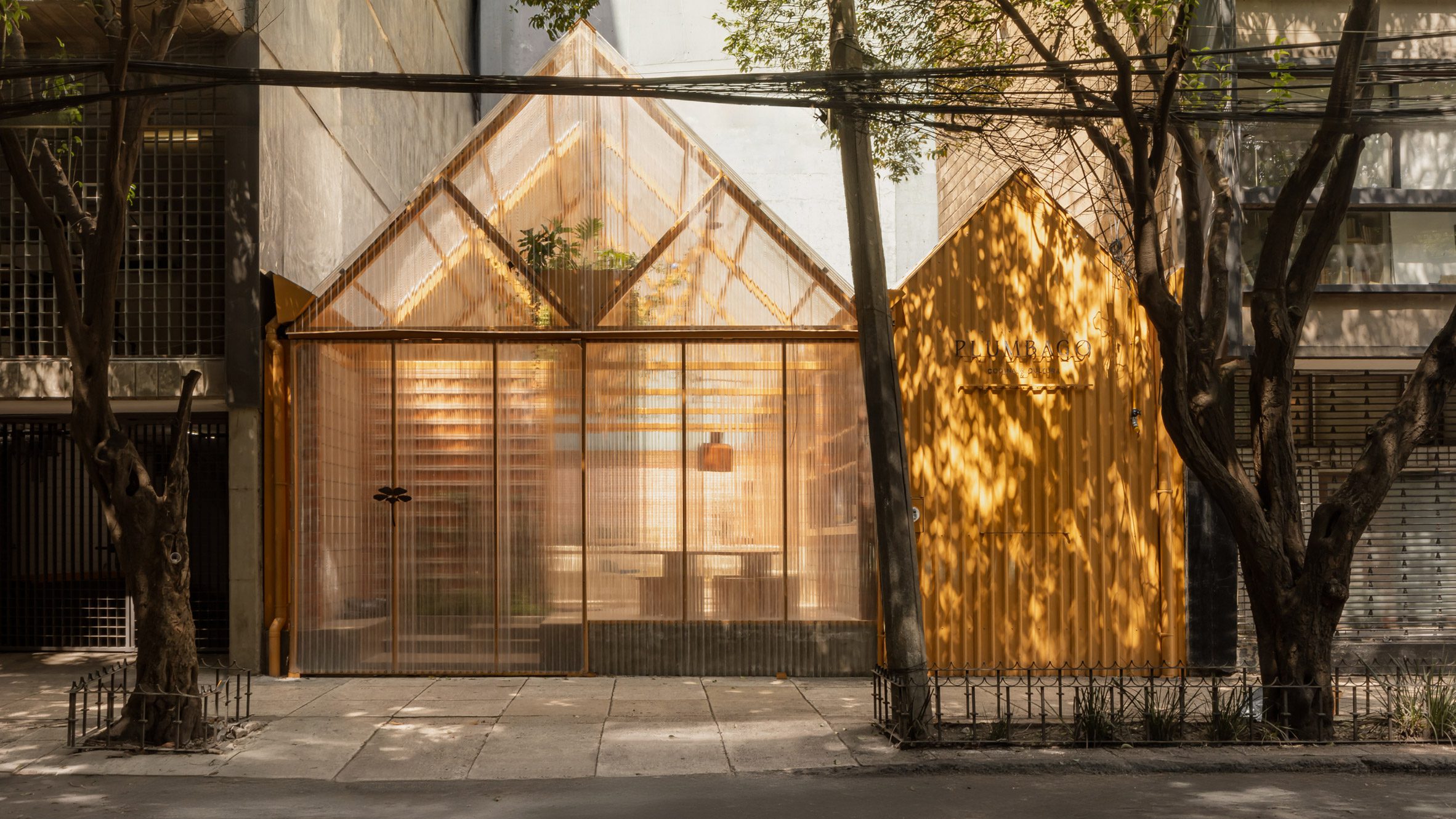 Plumbago餐厅丨墨西哥墨西哥城丨当地工作室OPA-0