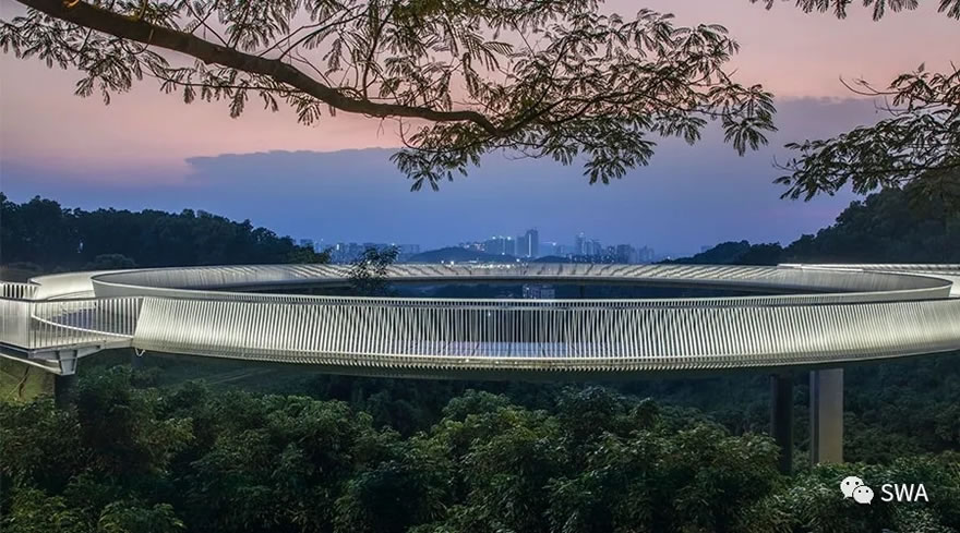 深圳光明小镇三桥与绿道一期-39