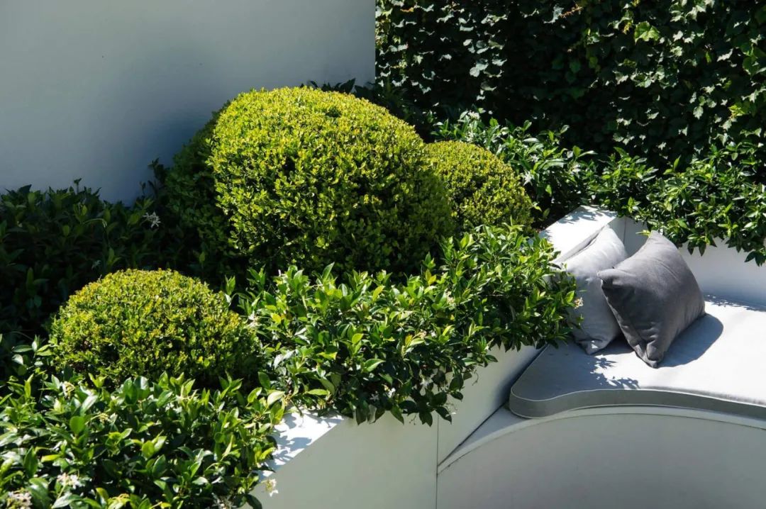 20个迷你花园设计丨多位设计师-85