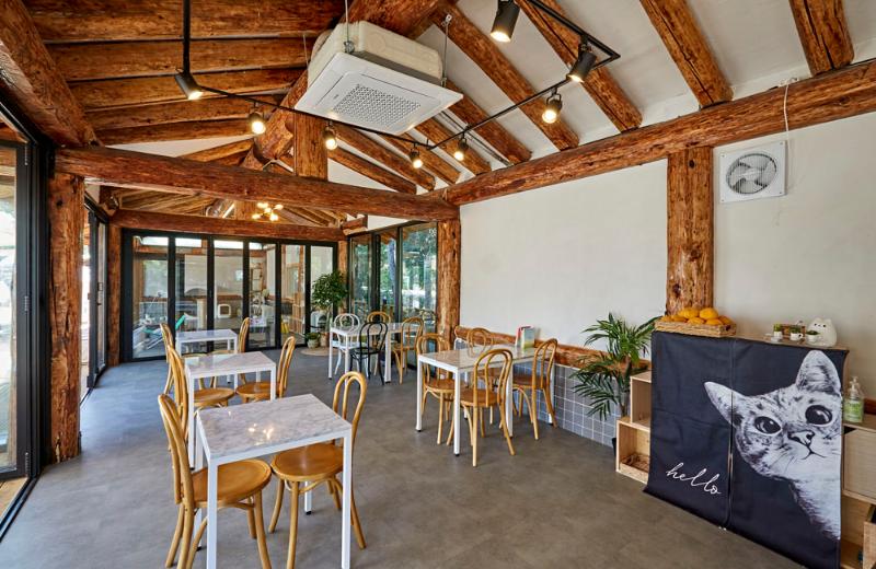 40 平韩屋猫咖，体验复古温馨-3