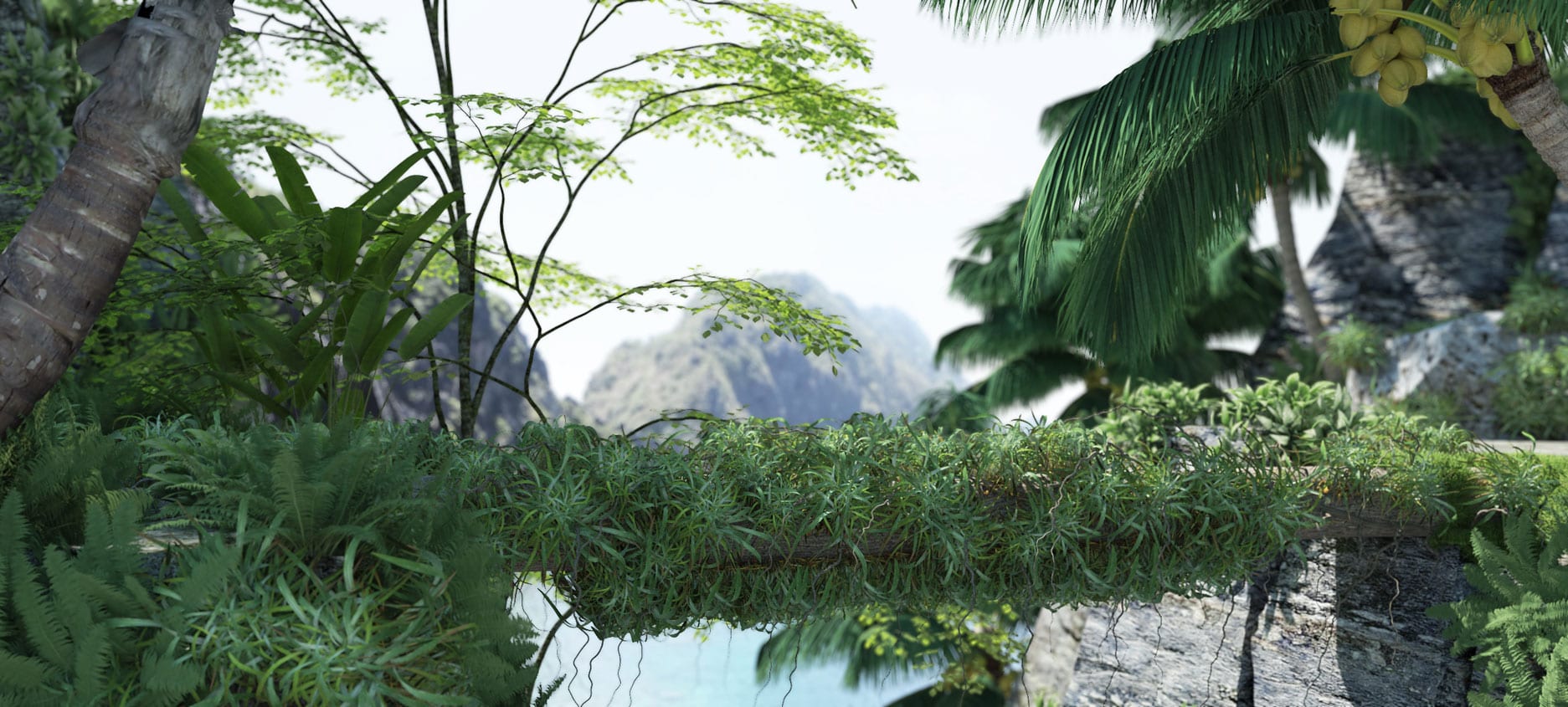 BIRDS OF PARADISE - Ando Studio-0