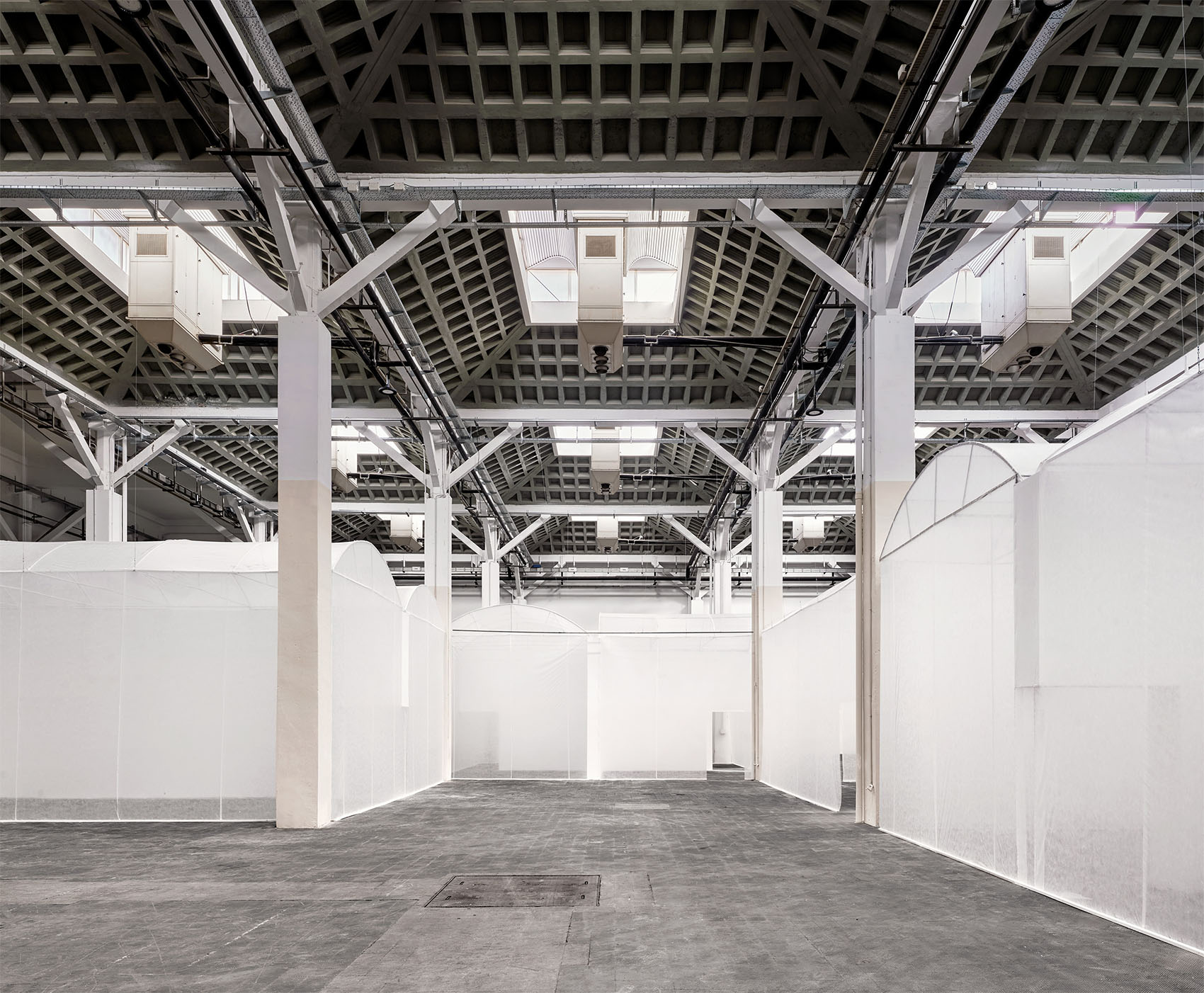 加泰罗尼亚博物馆栖息地展览设计丨西班牙丨Lluís Alexandre Casanovas Blanco-10