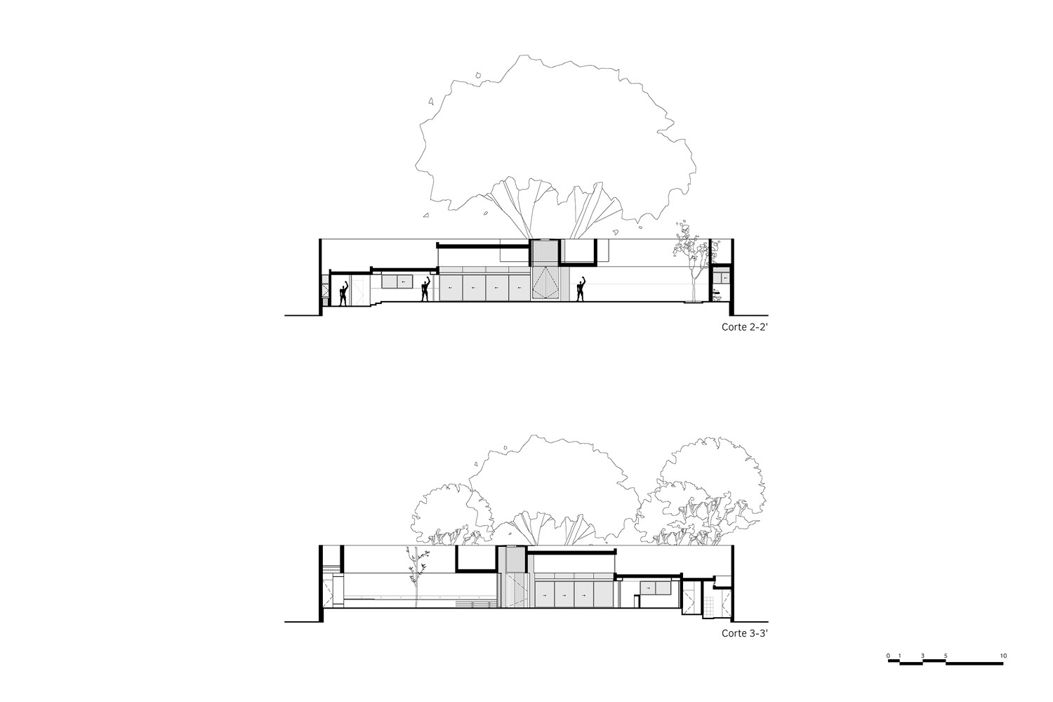 "Pich"树之屋 | 共享绿意,融入城市-26