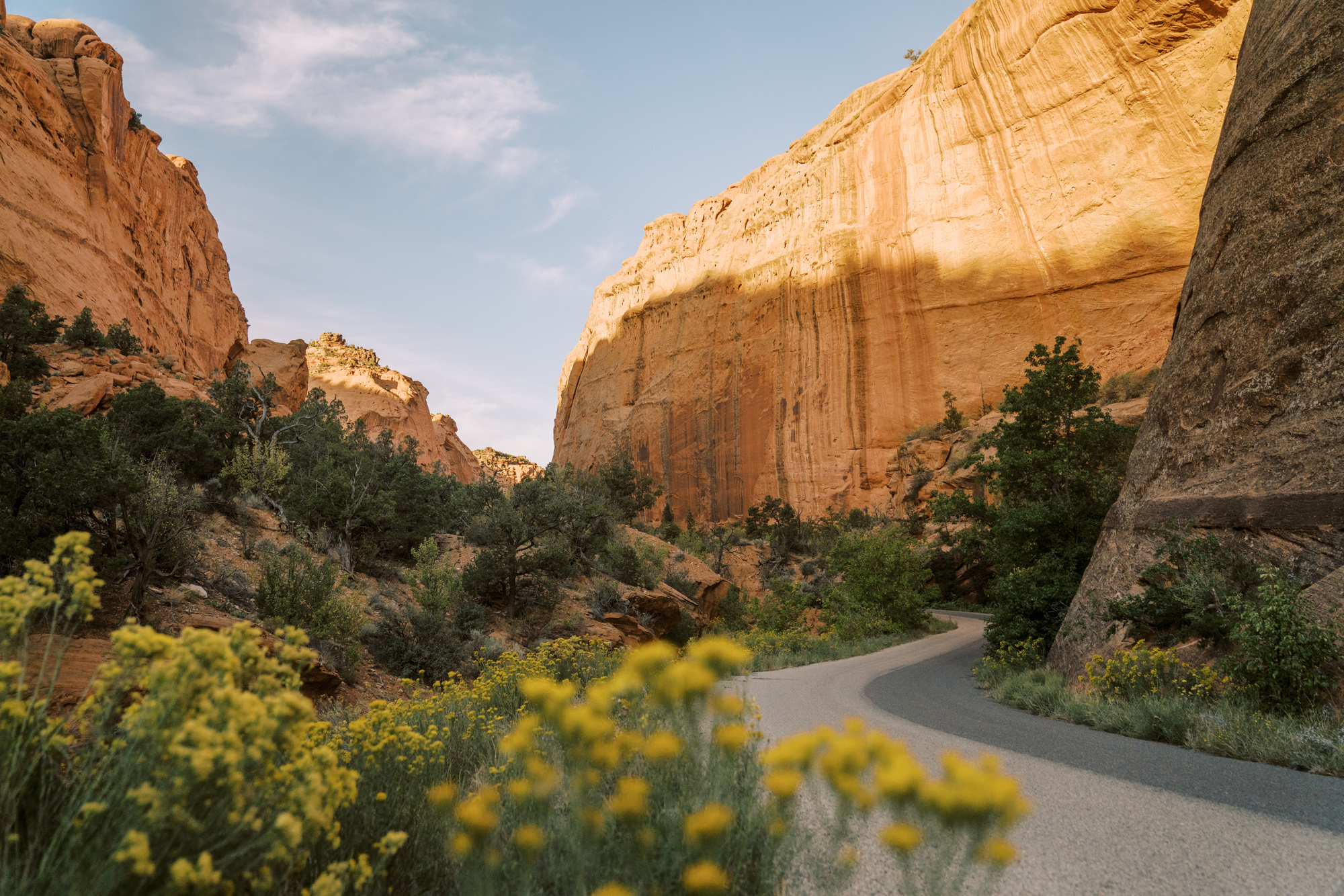 丨美国博尔德丨Locus Studio-51