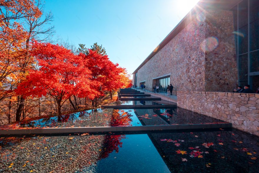博物馆 SAN丨韩国原州市丨安藤忠雄-21