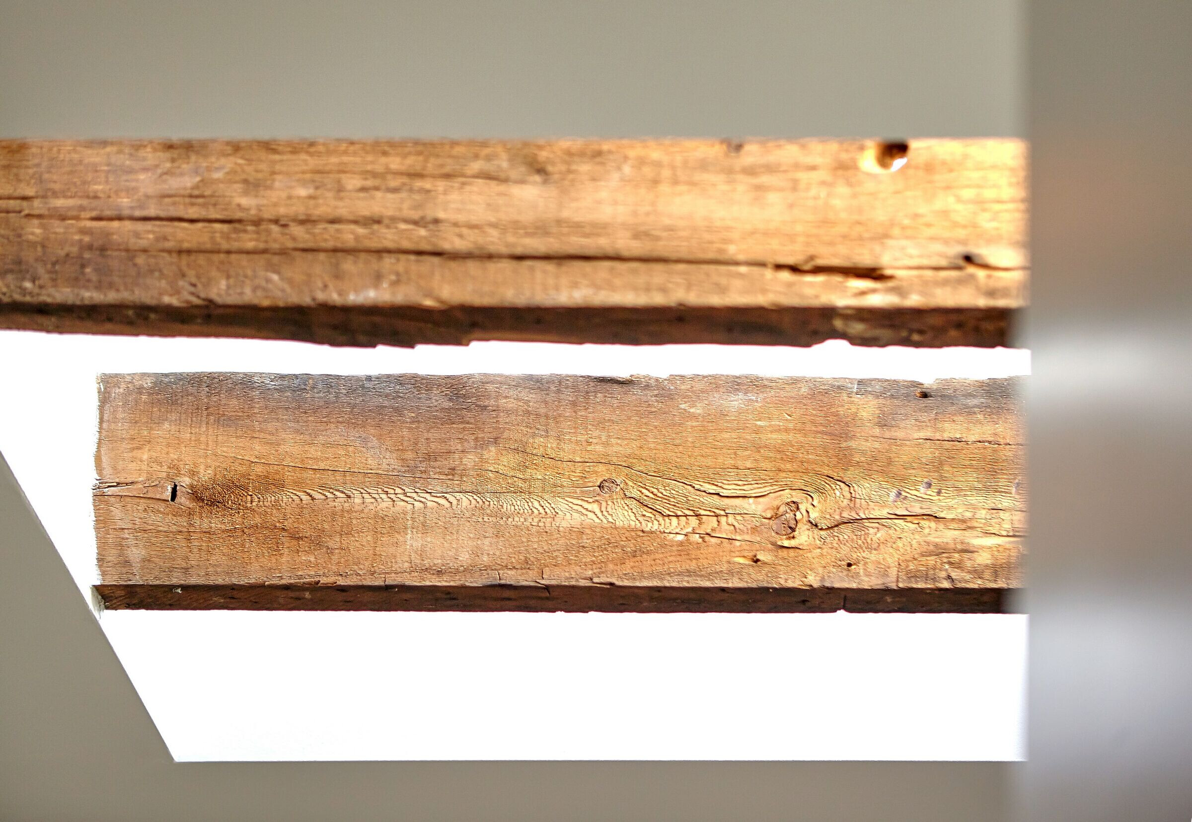 多伦多窄巷小宅的巧妙扩建-20