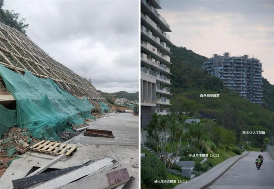 阿那亚三亚·山之境(东区)丨中国三亚丨WTD纬图设计-13