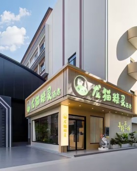 龙猫龙猫精灵系列（广西南宁店）丨中国南宁