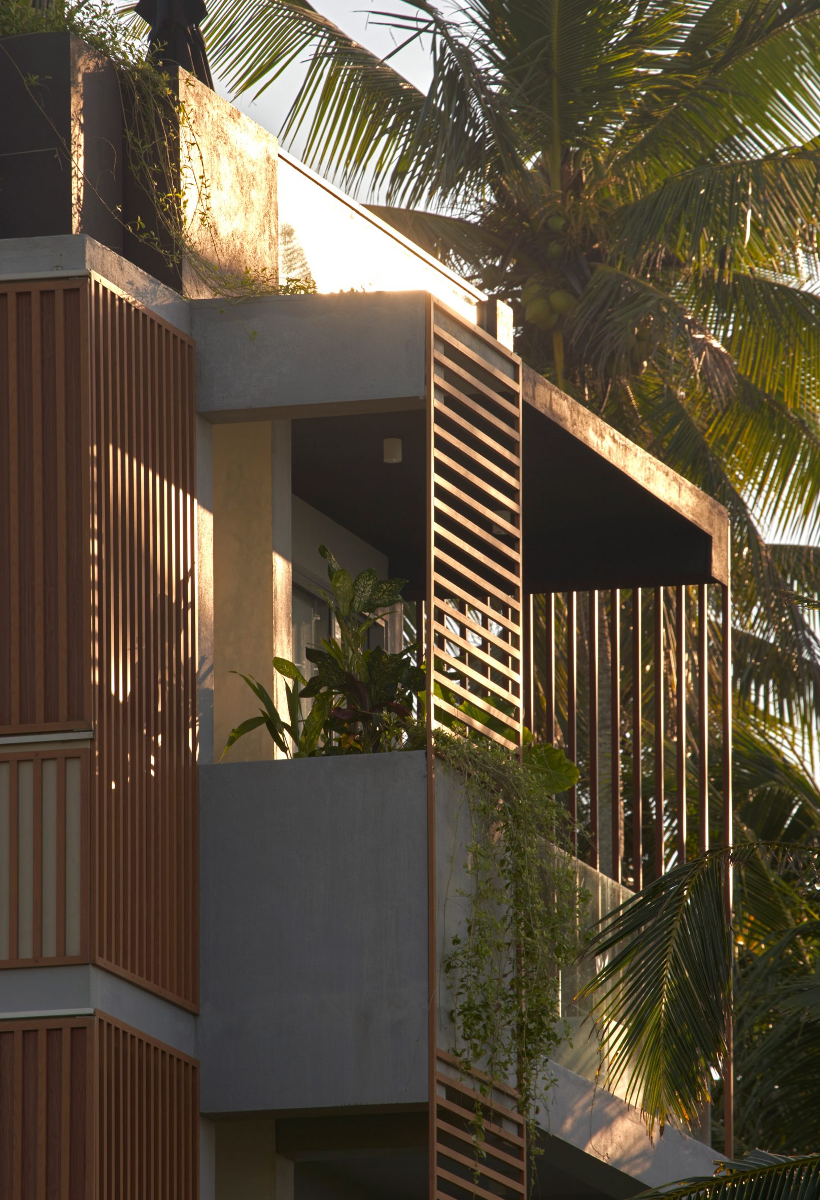 斯里兰卡哈丁酒店 | 热带现代主义的垂直诠释-3