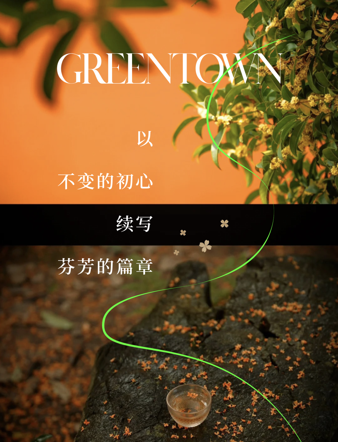 汀桂里丨与更多热爱生活的人，珍藏杭州的桂花香-1