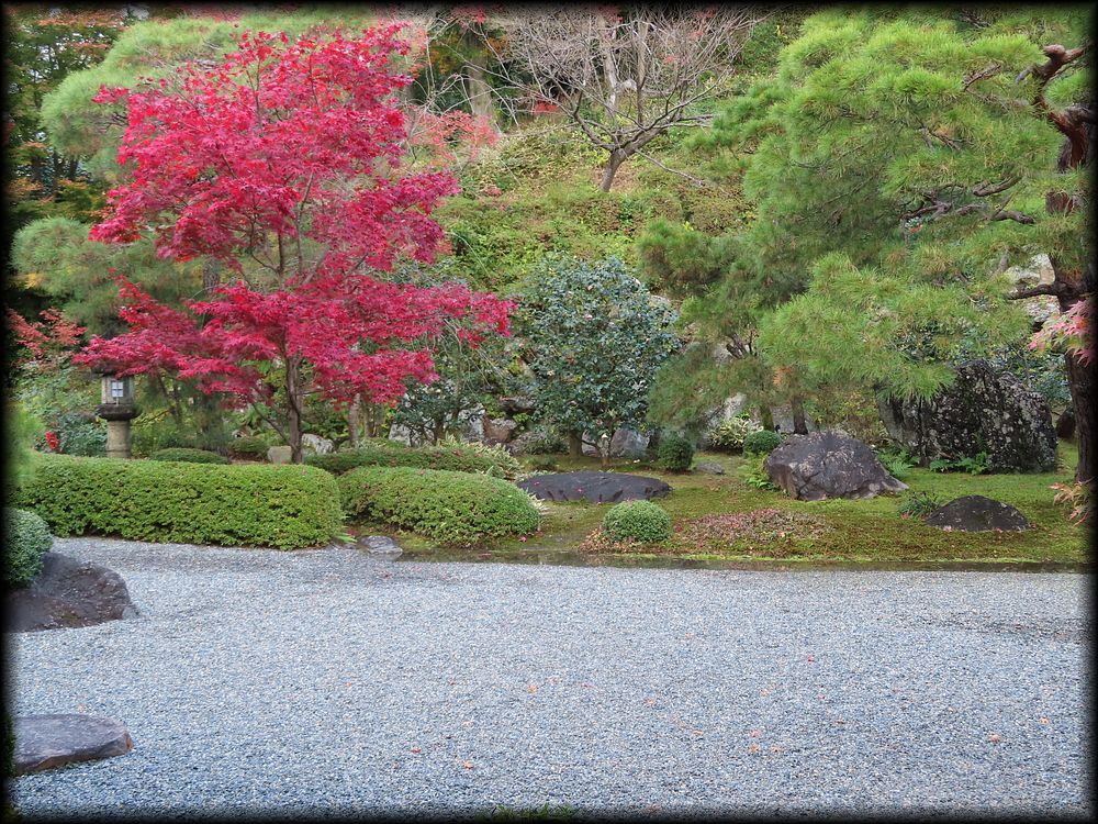 高台寺十牛庵本館庭園丨日本京都丨七代目小川治兵衛-17