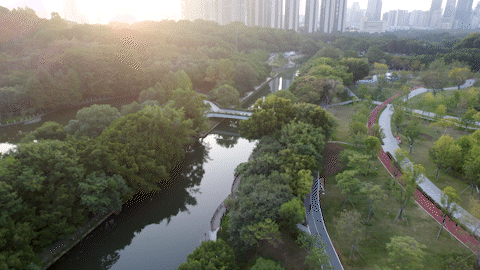 摩天都市中的绿色脉搏 | 深圳笔架山体育公园-135