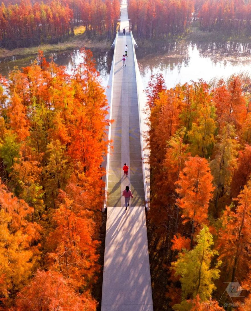 南昌市鱼尾洲湿地公园丨中国南昌丨北京土人城市规划设计股份有限公司-21