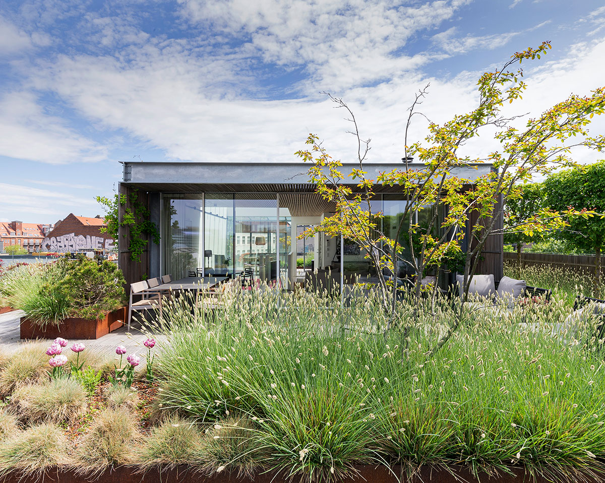 大城市中心的私人花园-3