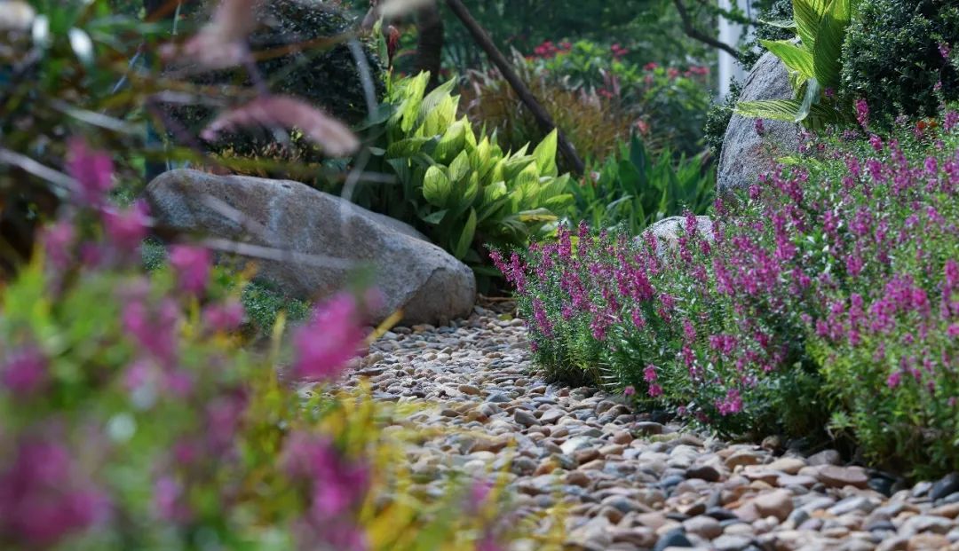 道远设计丨厦门万科·璞悦山 景观设计 丨中国厦门-52