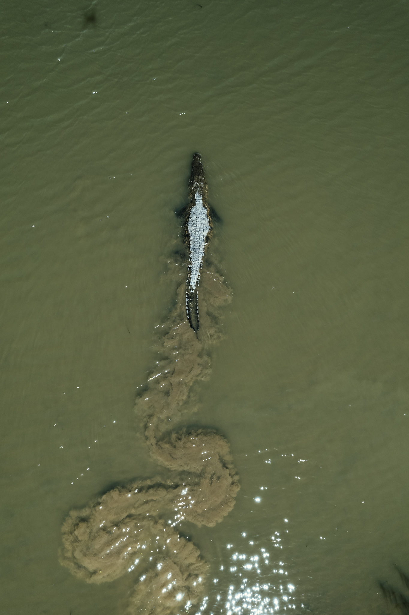 One&Only Mandarina-19