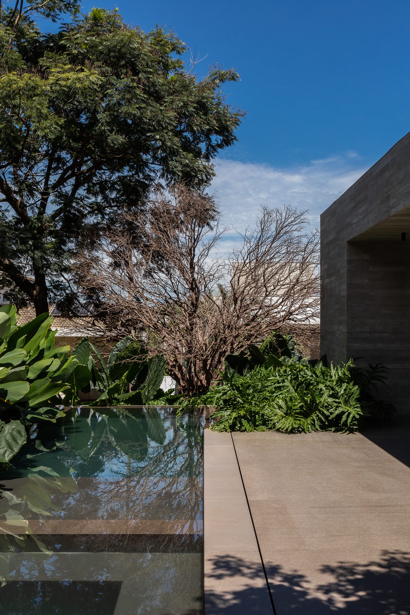 数据库大楼丨巴西丨Aguirre Arquitetura-44