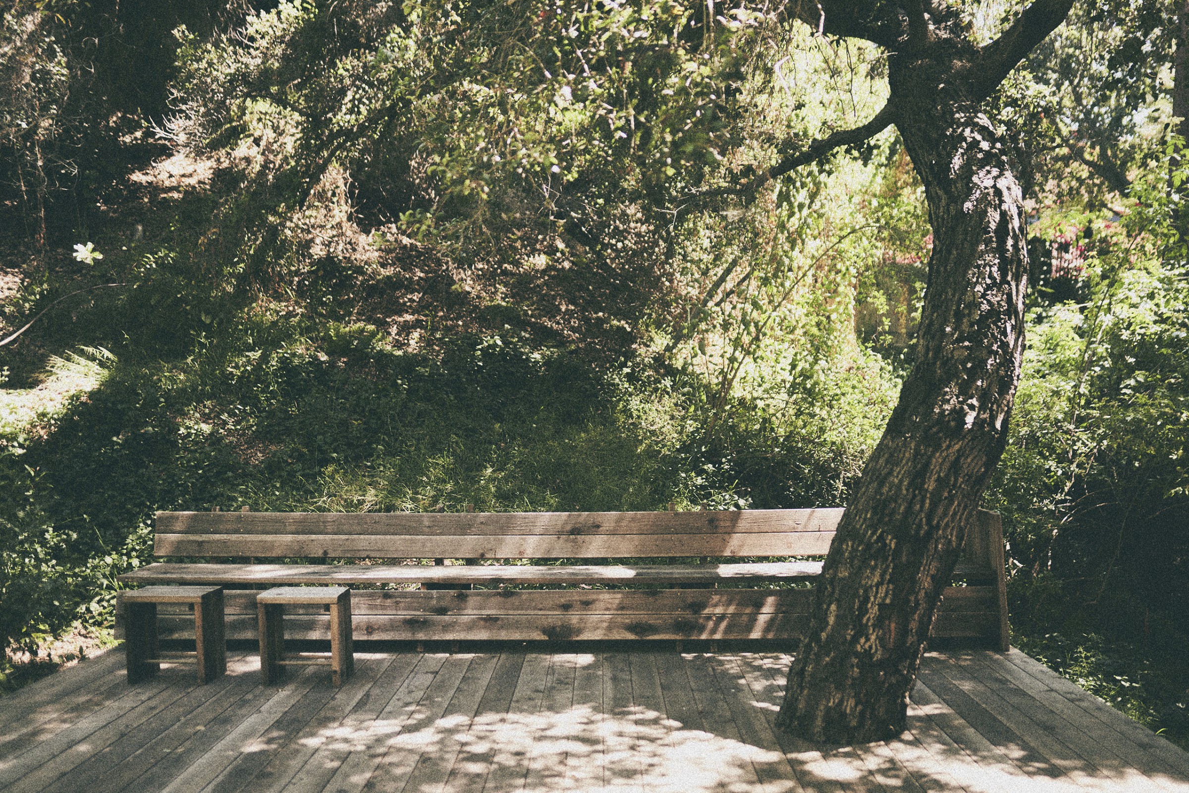 门前野趣丨TERREMOTO-42