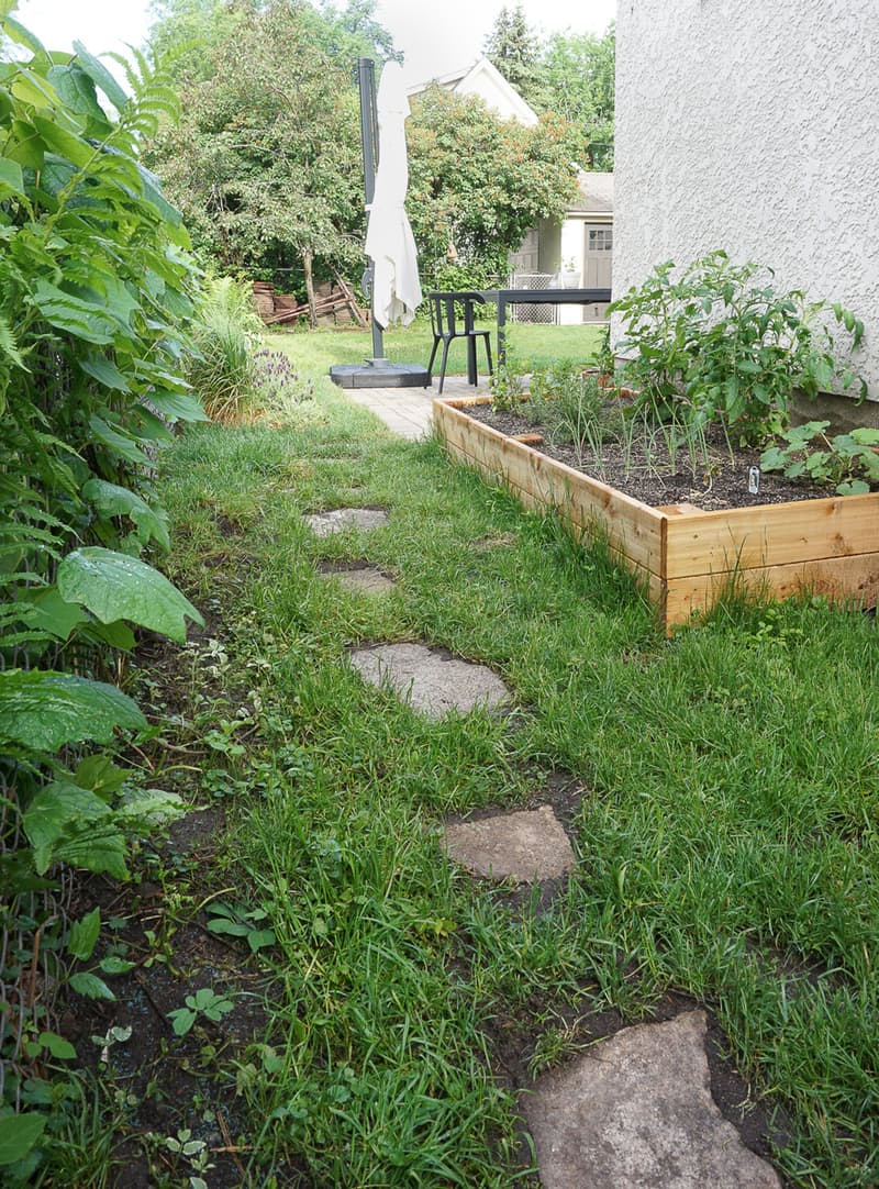 自家花园设计丨埃琳和肯-10