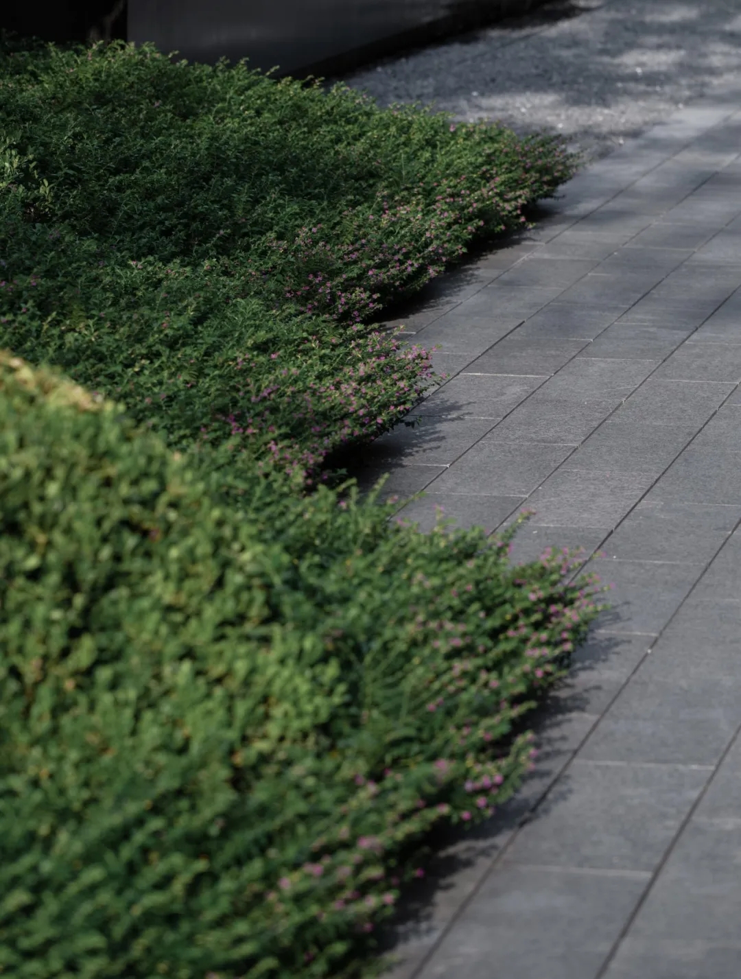 郑州正商·祯瑞上境展示区景观-31