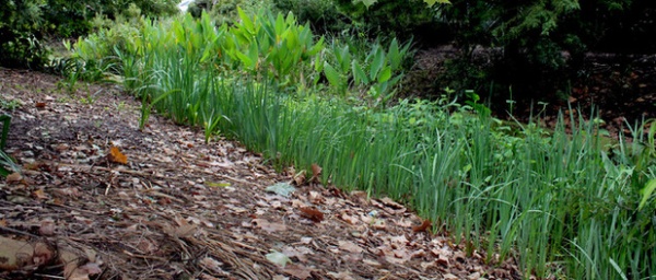 如何设计适应暴风雨天气的雨水花园-31