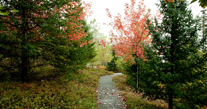 阿卡迪亚庄园-10